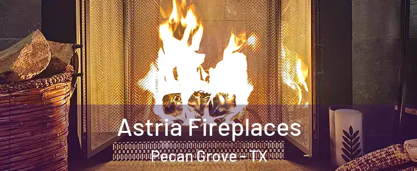 Astria Fireplaces Pecan Grove - TX