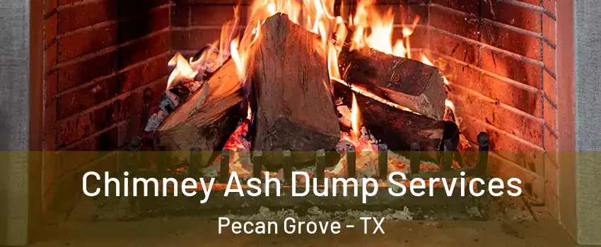  Chimney Ash Dump Services Pecan Grove - TX