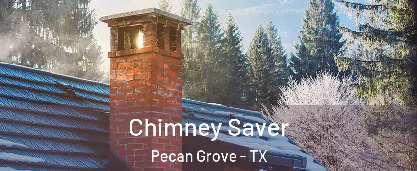  Chimney Saver Pecan Grove - TX