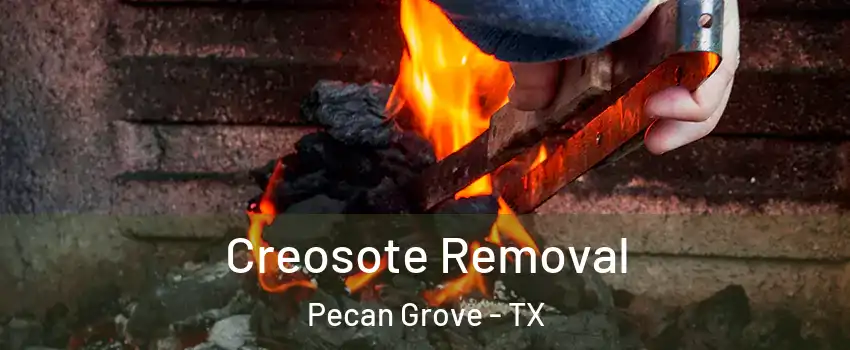  Creosote Removal Pecan Grove - TX