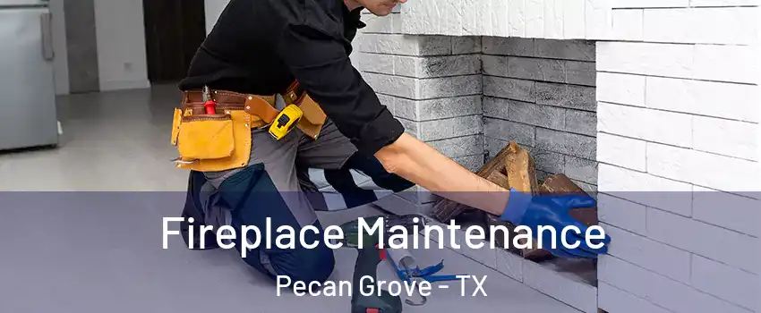  Fireplace Maintenance Pecan Grove - TX
