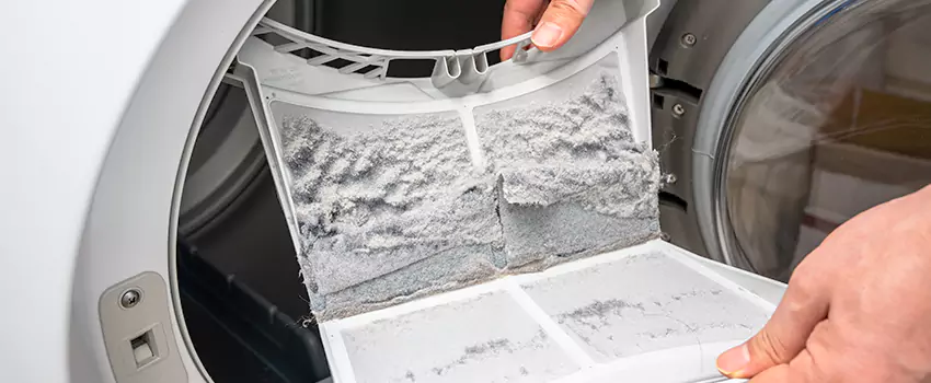 Best Dryer Lint Removal Company in Pecan Grove, Texas