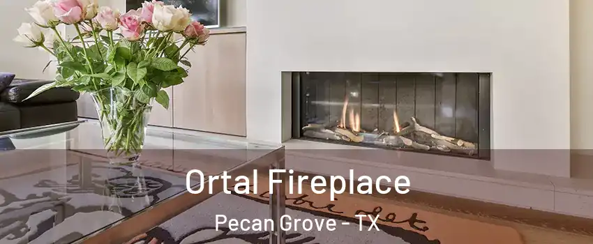  Ortal Fireplace Pecan Grove - TX